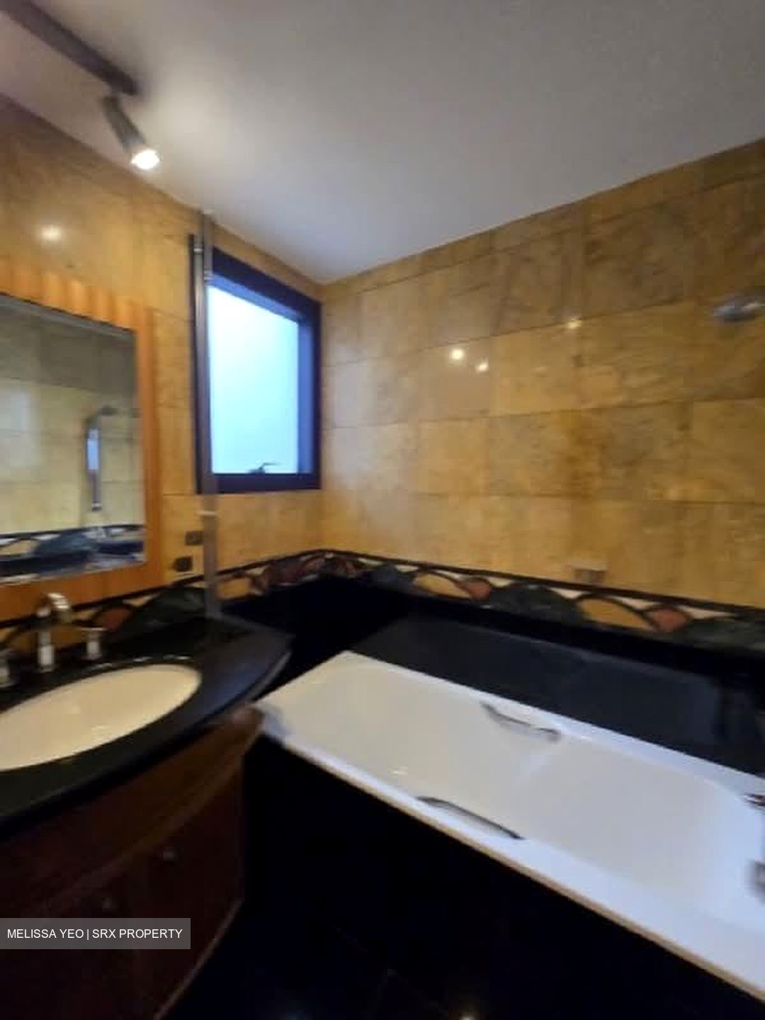 River Place (D3), Condominium #575454661